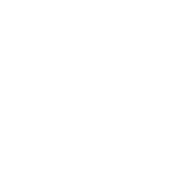 RES Transmission och distribution