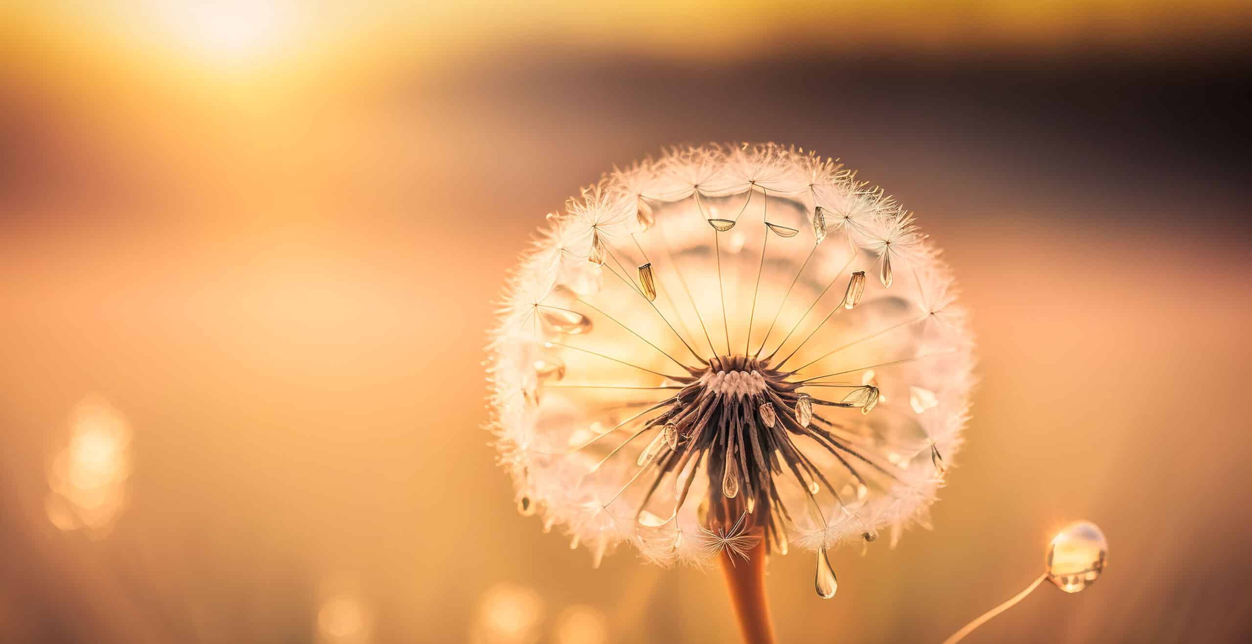 Featured image for “Vätgassatsning ger nytändning i Ånge”